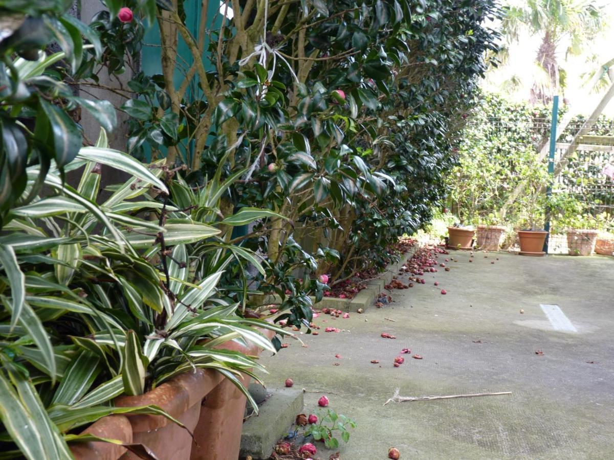 Azores Holidays House -B&B - Suites - Self Check-In Keyboard Ponta Delgada Eksteriør billede