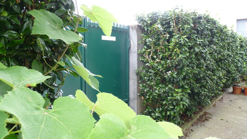 Azores Holidays House -B&B - Suites - Self Check-In Keyboard Ponta Delgada Eksteriør billede